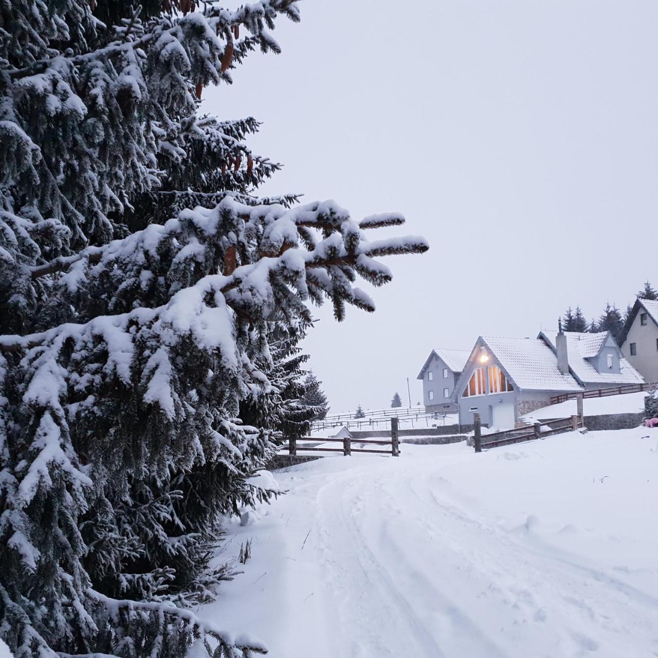 Home Belic Golija Radaljica Екстериор снимка